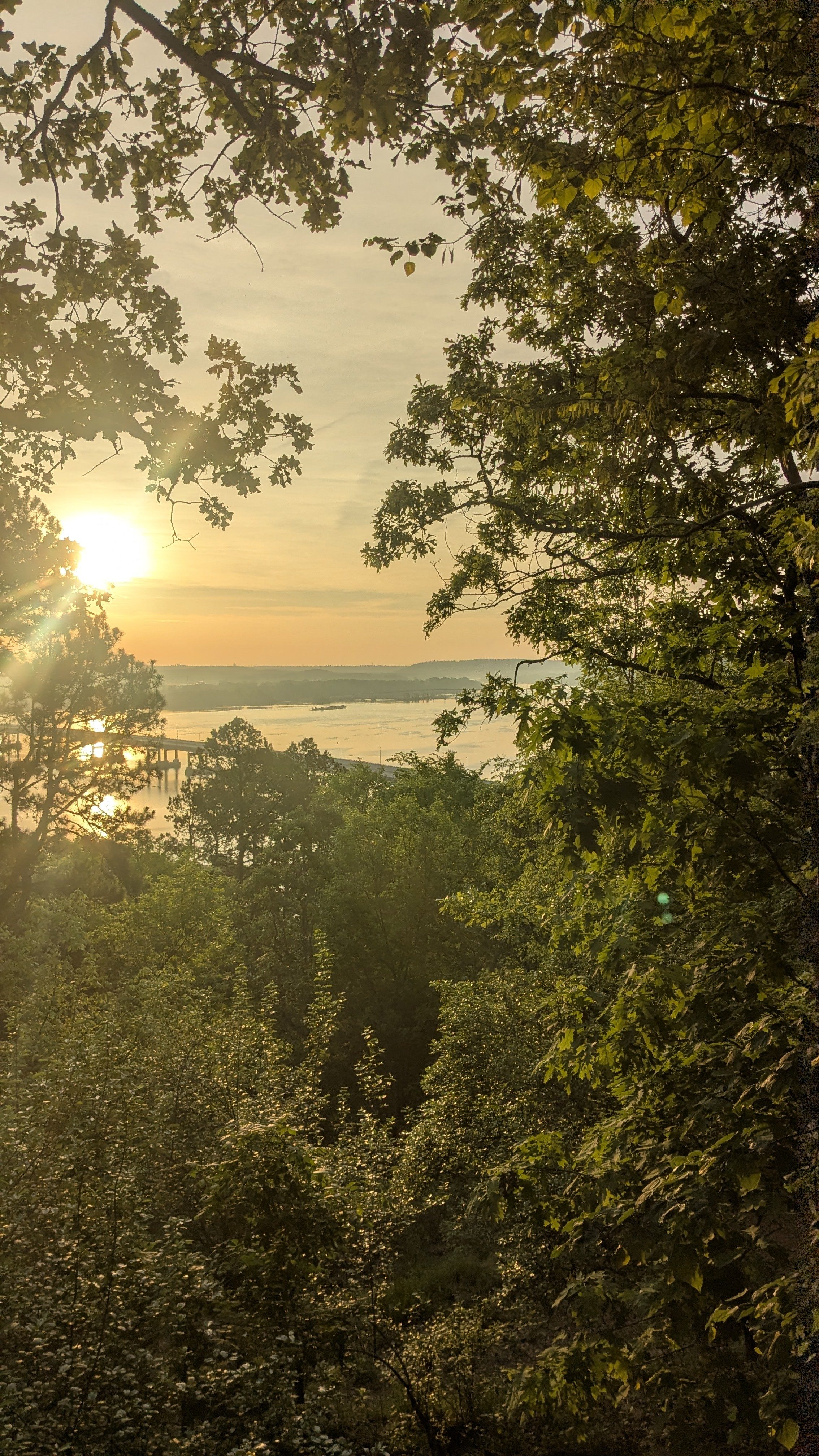 Sunset over the treeline at the end of a long run