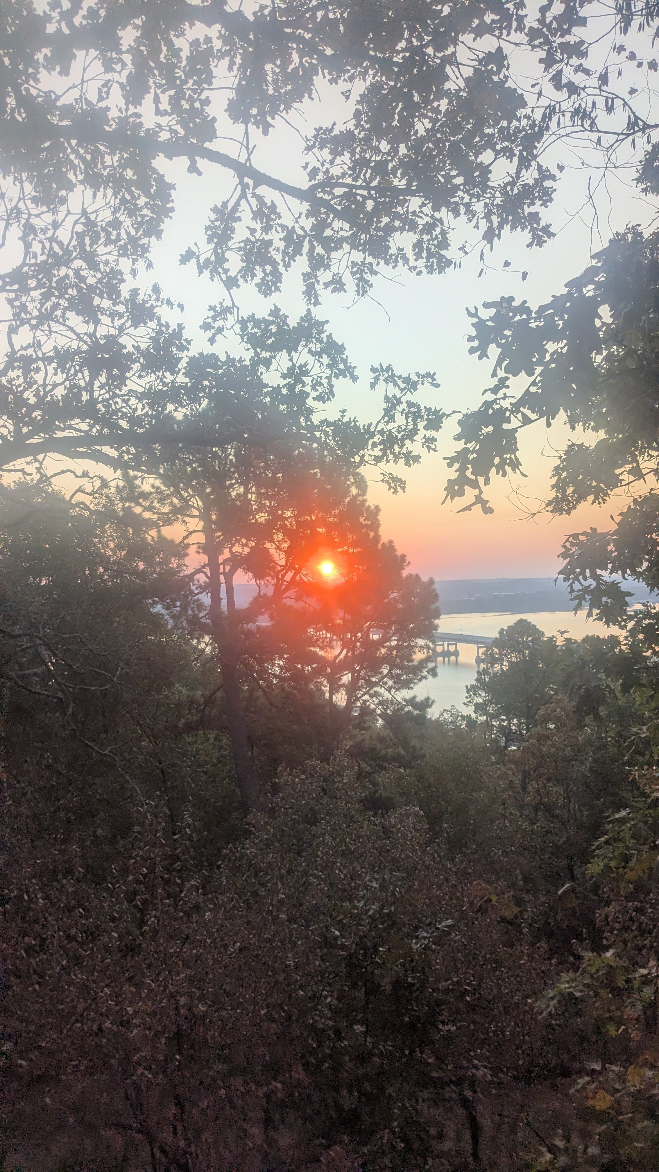 Sunset glowing orange through silhouetted trees on a bluff overlooking a river and bridge